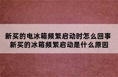 新买的电冰箱频繁启动时怎么回事 新买的冰箱频繁启动是什么原因